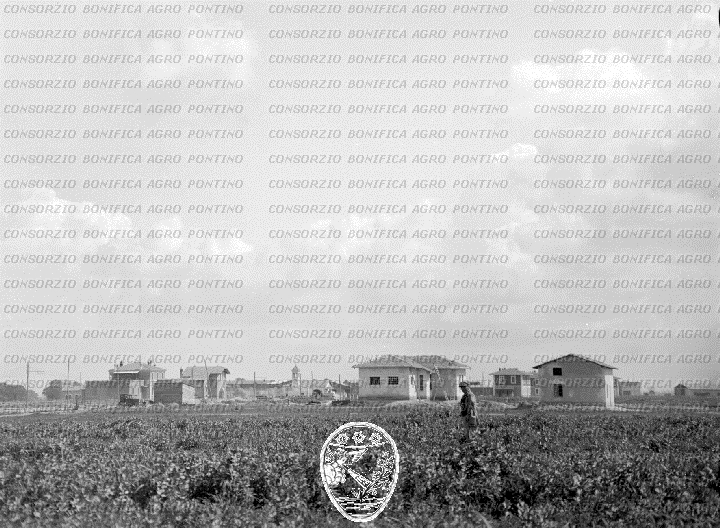 PONTINO/BOR000581.jpg