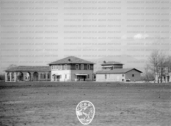 PONTINO/BOR000582.jpg