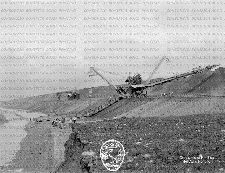 PONTINO/BOR000614.jpg