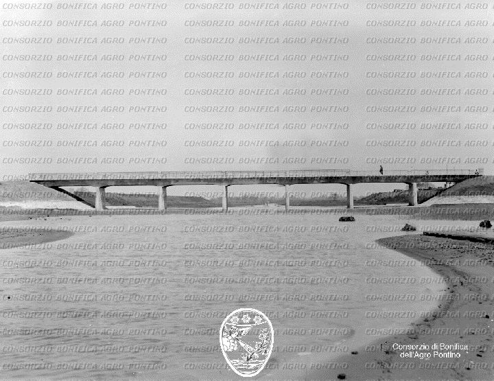 PONTINO/BOR000616.jpg