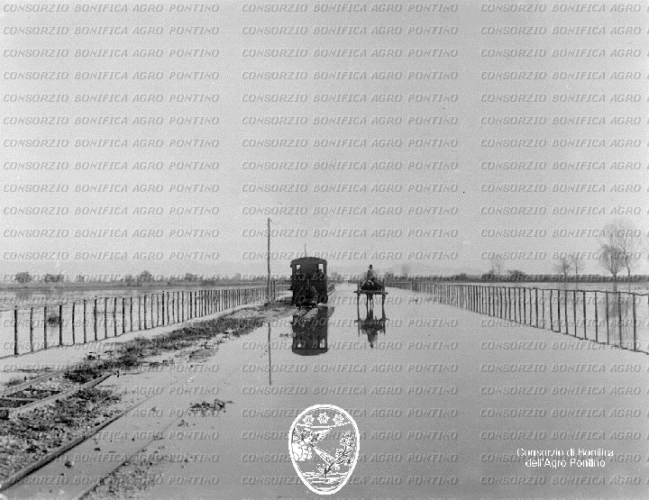 PONTINO/BOR000674.jpg