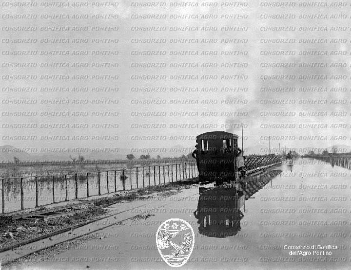 PONTINO/BOR000675.jpg