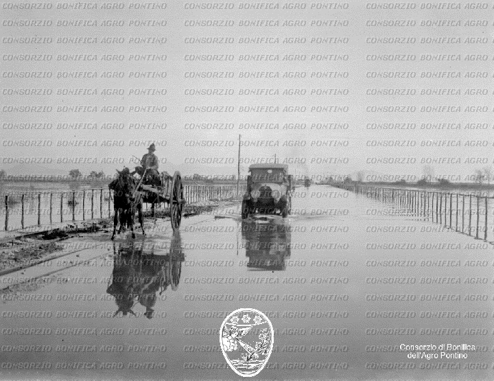 PONTINO/BOR000676.jpg