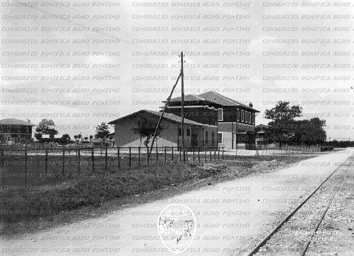 PONTINO/BOR000679.jpg