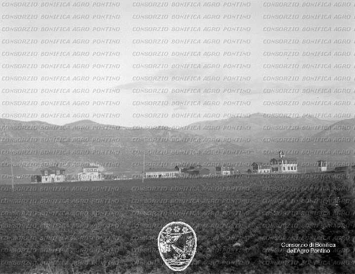 PONTINO/BOR000683.jpg