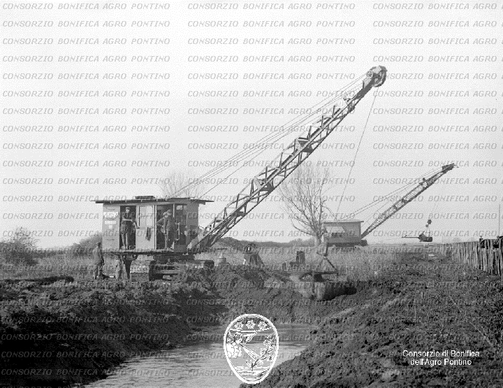 PONTINO/BOR000716.jpg