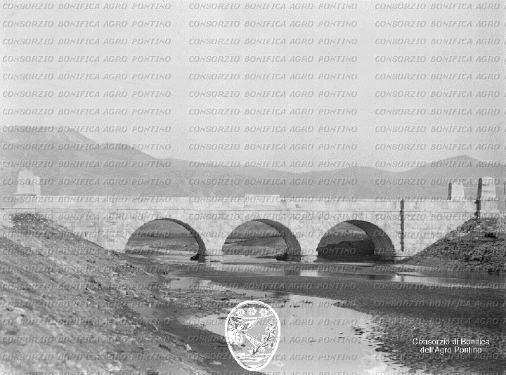 PONTINO/BOR000721.jpg