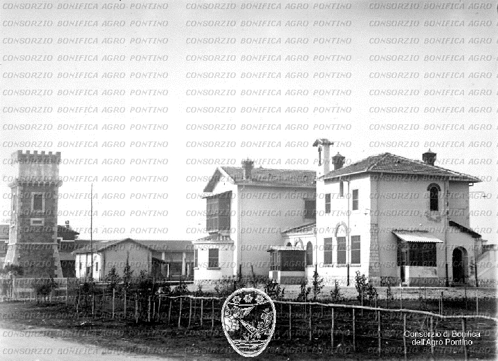 PONTINO/BOR000736.jpg
