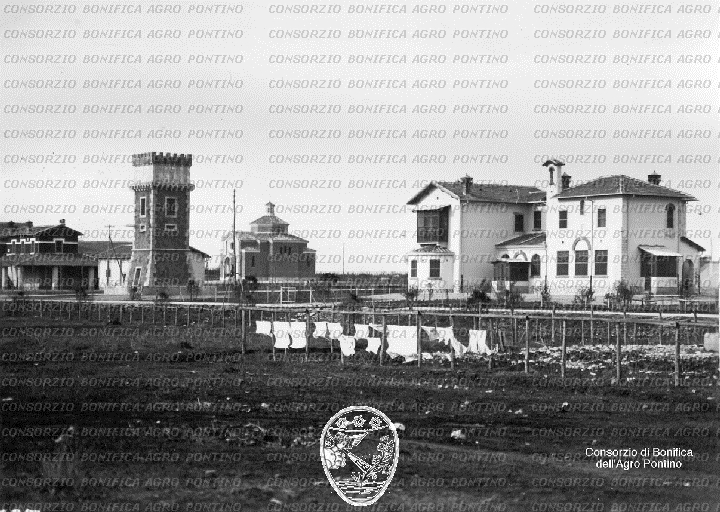 PONTINO/BOR000737.jpg