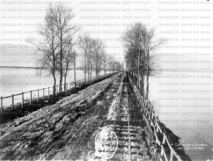 PONTINO/BOR000738.jpg