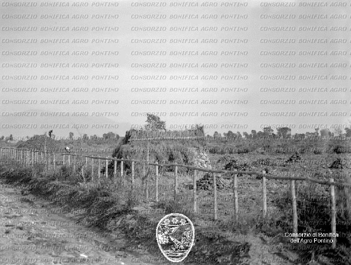 PONTINO/BOR000751.jpg