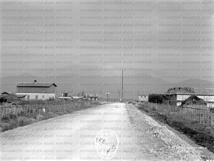 PONTINO/BOR000753.jpg