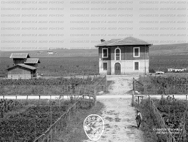 PONTINO/BOR000755.jpg