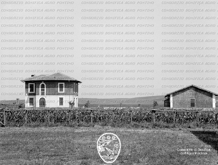 PONTINO/BOR000756.jpg