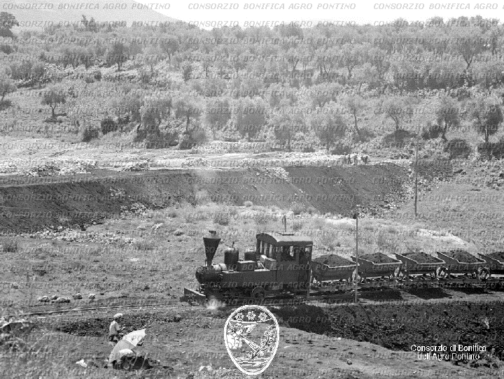PONTINO/BOR000781.jpg