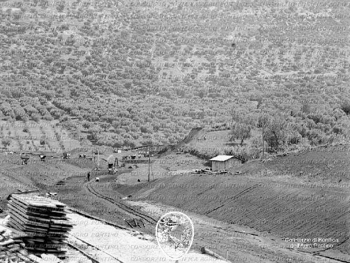 PONTINO/BOR000782.jpg