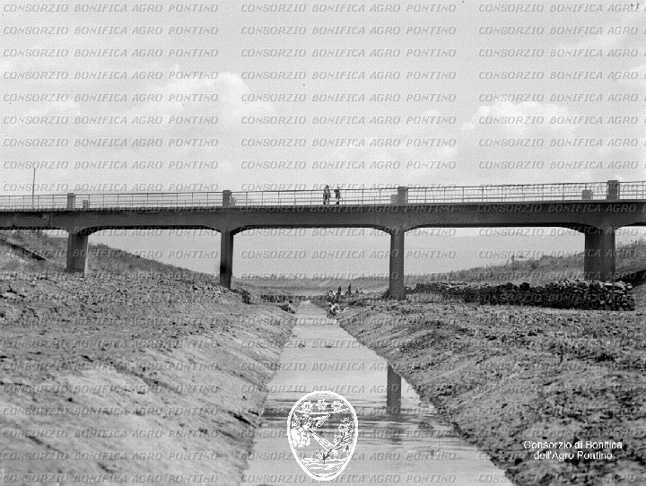 PONTINO/BOR000787.jpg