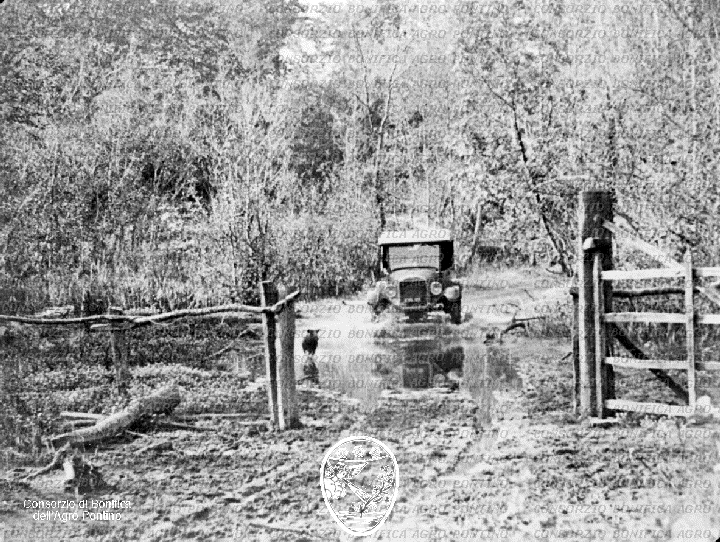 PONTINO/BOR000789.jpg