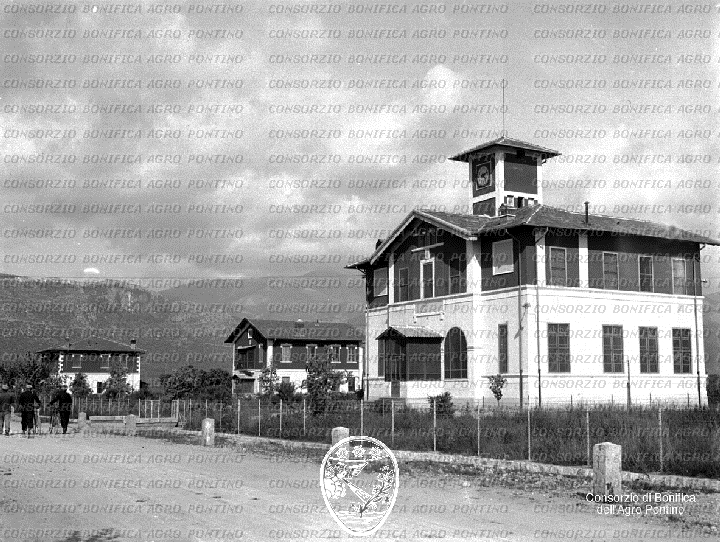 PONTINO/BOR000802.jpg