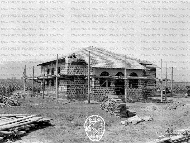 PONTINO/BOR000822.jpg