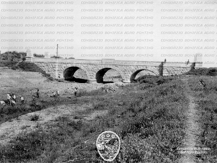 PONTINO/BOR000823.jpg