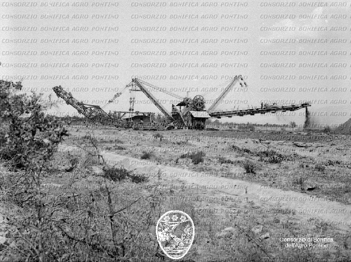 PONTINO/BOR000826.jpg