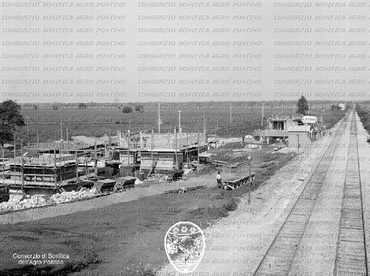 PONTINO/BOR000839.jpg