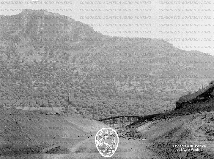 PONTINO/BOR000843.jpg