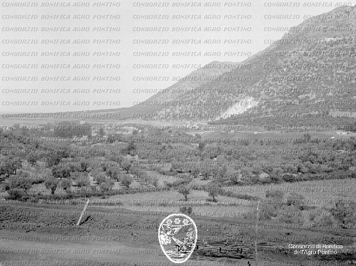 PONTINO/BOR000857.jpg