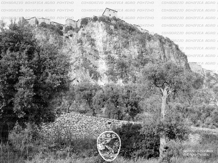 PONTINO/BOR000859.jpg