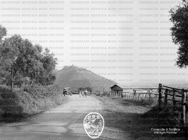 PONTINO/BOR000860.jpg