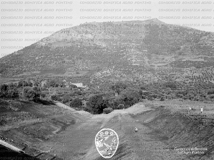 PONTINO/BOR000862.jpg