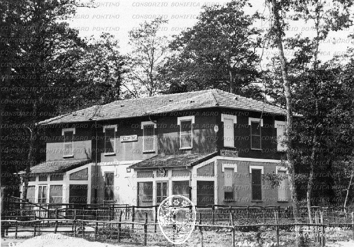 PONTINO/BOR000880.jpg