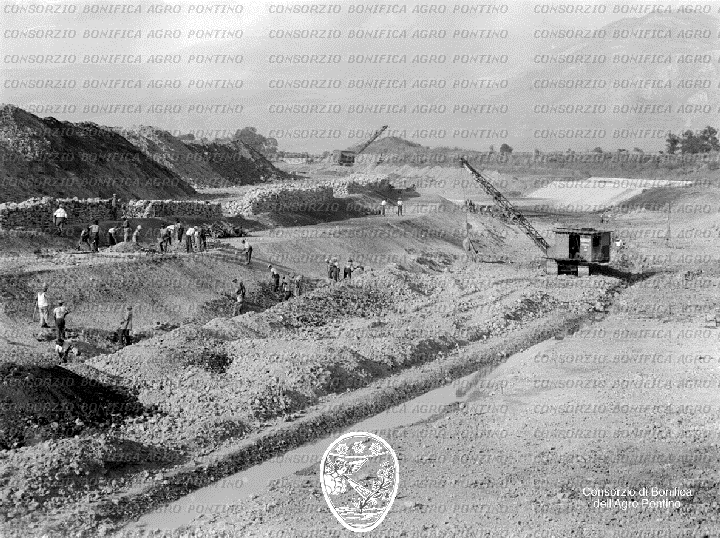 PONTINO/BOR000882.jpg