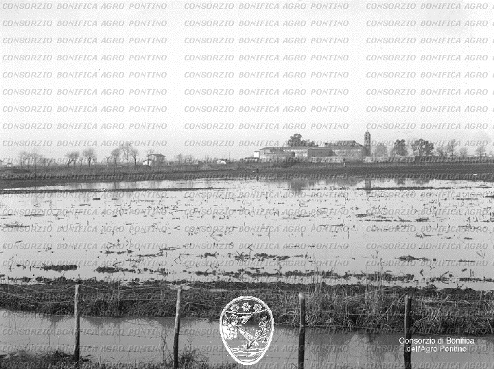 PONTINO/BOR000892.jpg
