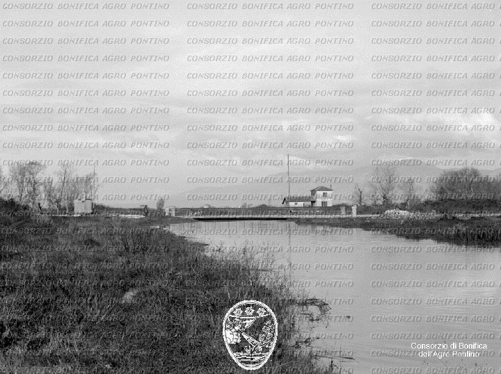 PONTINO/BOR000893.jpg