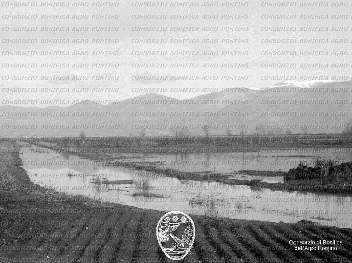PONTINO/BOR000894.jpg