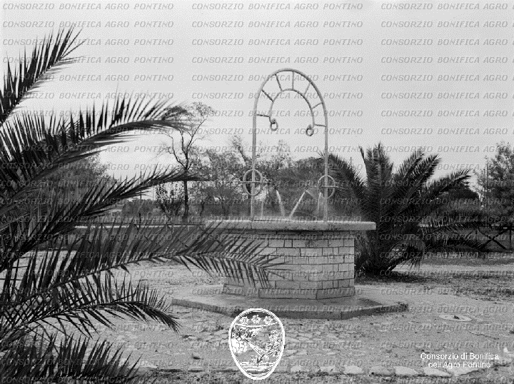 PONTINO/BOR000903.jpg