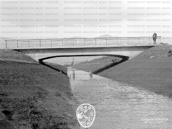 PONTINO/BOR000913.jpg