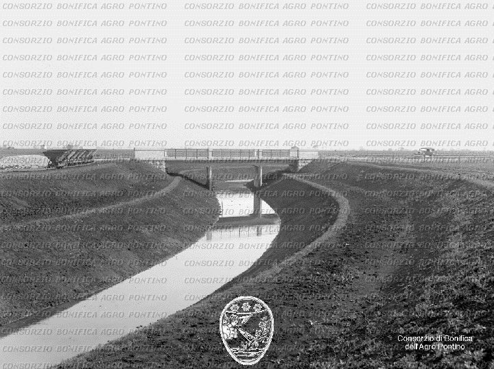PONTINO/BOR000914.jpg