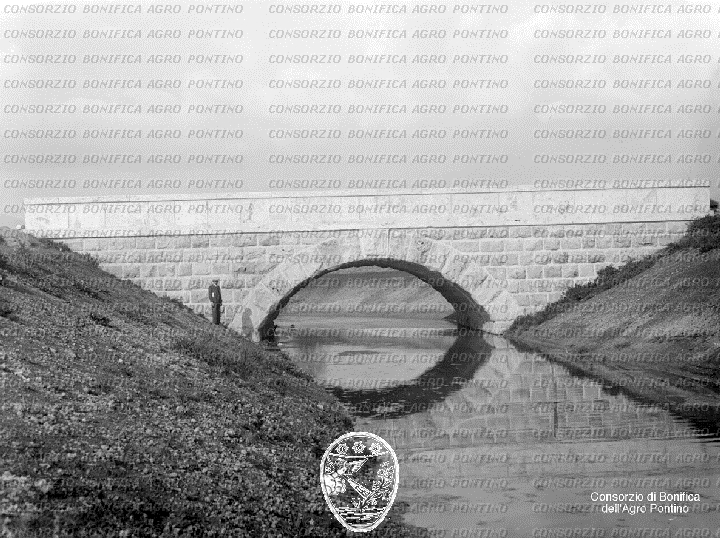 PONTINO/BOR000915.jpg