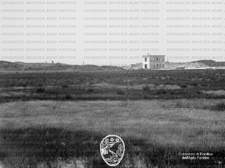 PONTINO/BOR000917.jpg