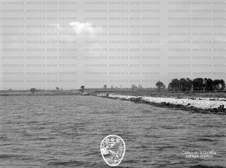 PONTINO/BOR000920.jpg