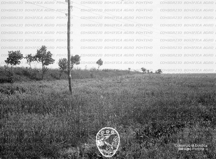 PONTINO/BOR000924.jpg