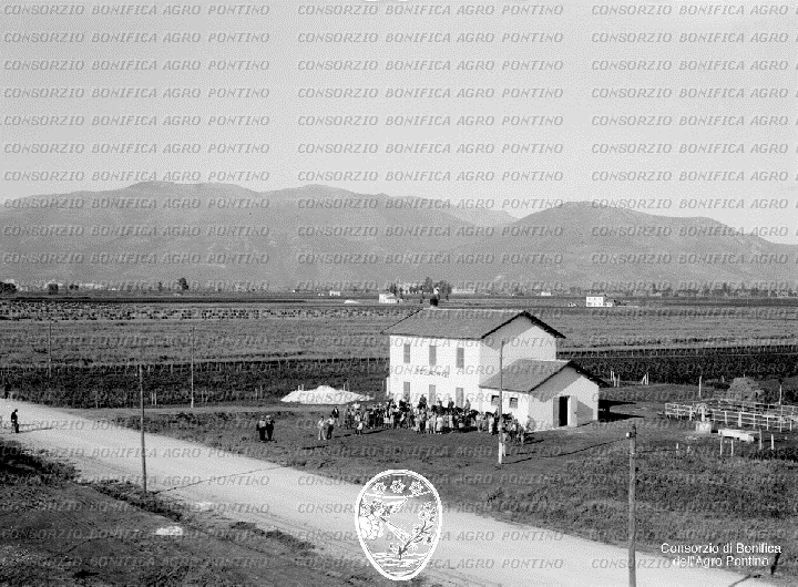 PONTINO/BOR000933.jpg