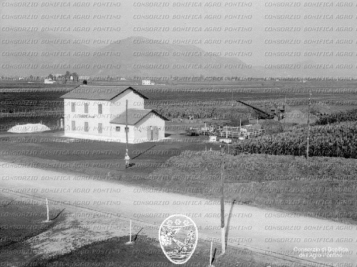 PONTINO/BOR000934.jpg