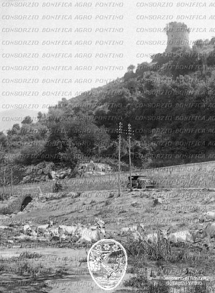 PONTINO/BOR000944.jpg