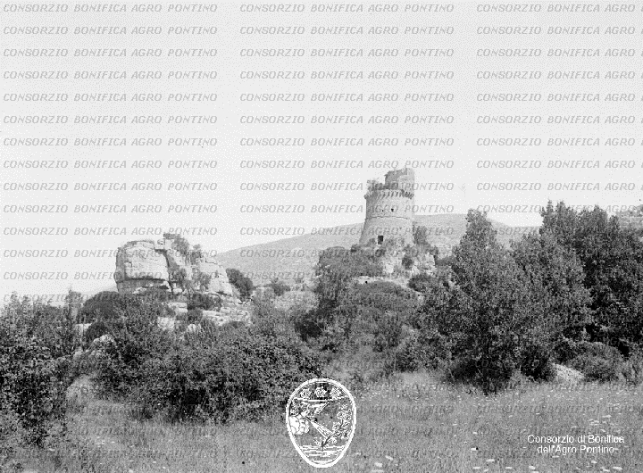 PONTINO/BOR000946.jpg