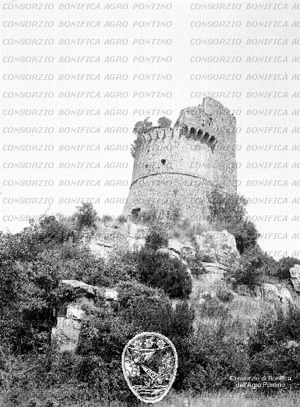 PONTINO/BOR000947.jpg