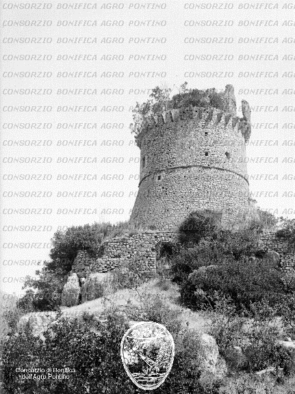 PONTINO/BOR000948.jpg
